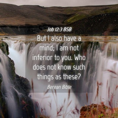 Picture 04 - Job 12:3 BSB - But I also have a mind; I am not inferior to you. - Bible Verse Picture