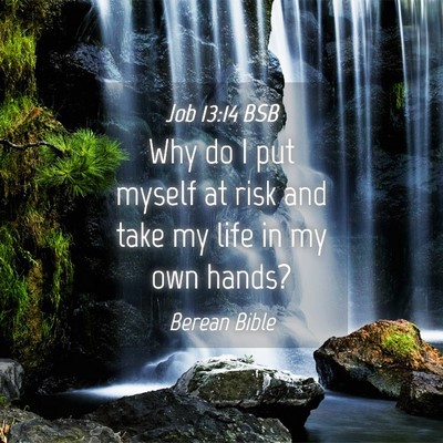 Picture 04 - Job 13:14 BSB - Why do I put myself at risk and take my life in - Bible Verse Picture