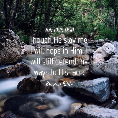 Picture 04 - Job 13:15 BSB - Though He slay me, I will hope in Him. I will - Bible Verse Picture