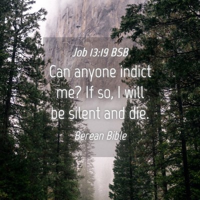Picture 04 - Job 13:19 BSB - Can anyone indict me? If so, I will be silent and - Bible Verse Picture