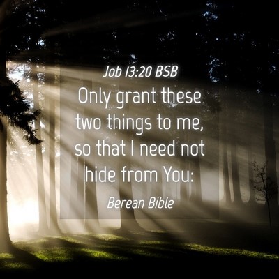 Picture 04 - Job 13:20 BSB - Only grant these two things to me, so that I need - Bible Verse Picture