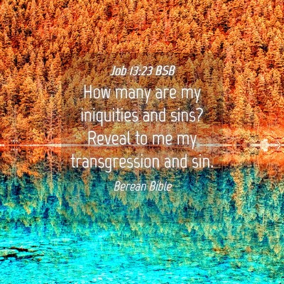 Picture 04 - Job 13:23 BSB - How many are my iniquities and sins? Reveal to me - Bible Verse Picture
