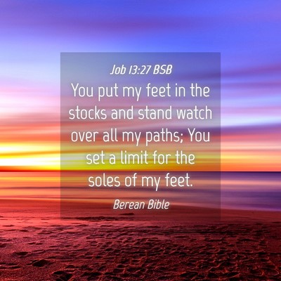 Picture 04 - Job 13:27 BSB - You put my feet in the stocks and stand watch - Bible Verse Picture