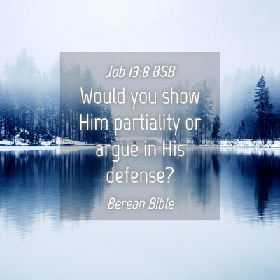 Picture 04 - Job 13:8 BSB - Would you show Him partiality or argue in His - Bible Verse Picture