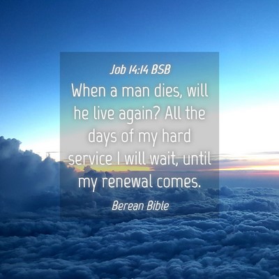 Picture 04 - Job 14:14 BSB - When a man dies, will he live again? All the days - Bible Verse Picture