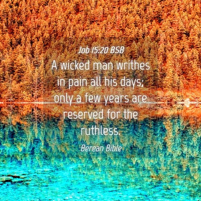 Picture 04 - Job 15:20 BSB - A wicked man writhes in pain all his days; only a - Bible Verse Picture