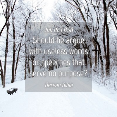 Picture 04 - Job 15:3 BSB - Should he argue with useless words or speeches - Bible Verse Picture