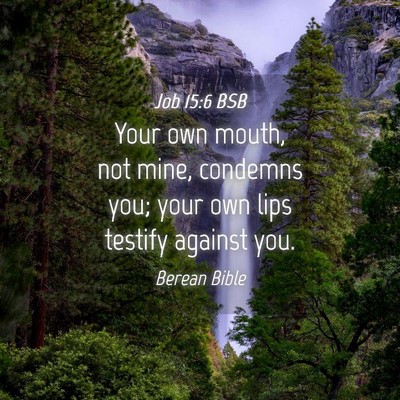 Picture 04 - Job 15:6 BSB - Your own mouth, not mine, condemns you; your own - Bible Verse Picture