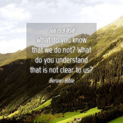Picture 04 - Job 15:9 BSB - What do you know that we do not? What do you - Bible Verse Picture