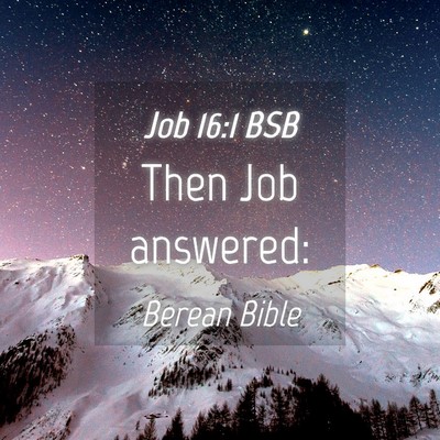 Picture 04 - Job 16:1 BSB - Then Job - Bible Verse Picture
