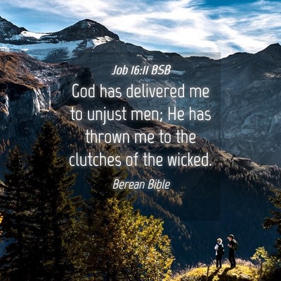 Picture 04 - Job 16:11 BSB - God has delivered me to unjust men; He has thrown - Bible Verse Picture