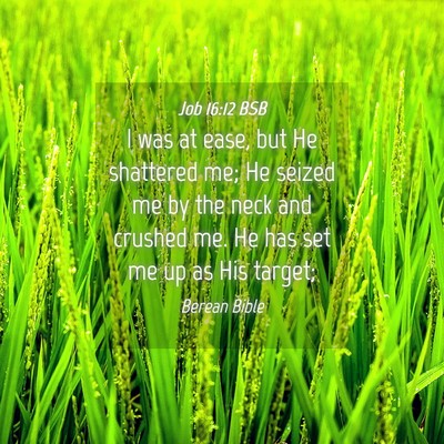 Picture 04 - Job 16:12 BSB - I was at ease, but He shattered me; He seized me - Bible Verse Picture