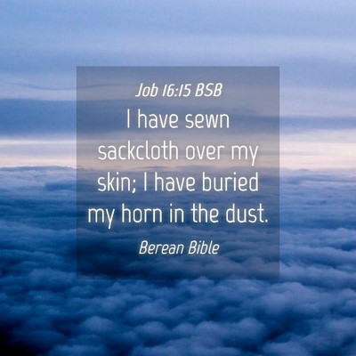 Picture 04 - Job 16:15 BSB - I have sewn sackcloth over my skin; I have buried - Bible Verse Picture