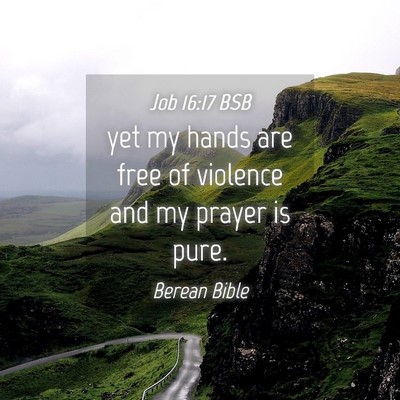 Picture 04 - Job 16:17 BSB - yet my hands are free of violence and my prayer - Bible Verse Picture