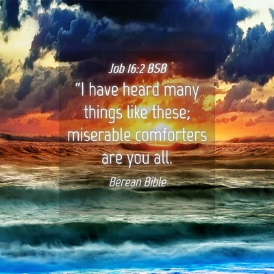 Picture 04 - Job 16:2 BSB - “I have heard many things like these; miserable - Bible Verse Picture