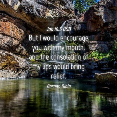 Picture 04 - Job 16:5 BSB - But I would encourage you with my mouth, and the - Bible Verse Picture