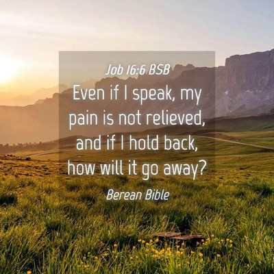 Picture 04 - Job 16:6 BSB - Even if I speak, my pain is not relieved, and if - Bible Verse Picture