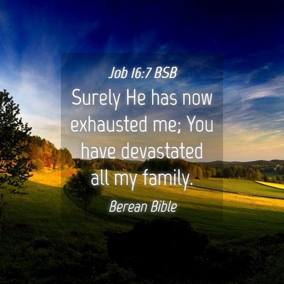 Picture 04 - Job 16:7 BSB - Surely He has now exhausted me; You have - Bible Verse Picture