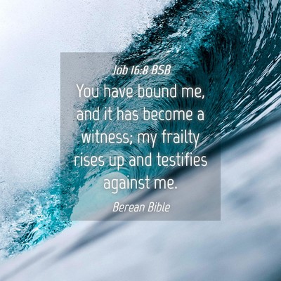 Picture 04 - Job 16:8 BSB - You have bound me, and it has become a witness; - Bible Verse Picture
