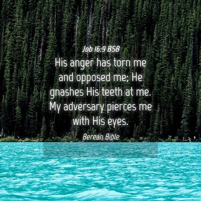Picture 04 - Job 16:9 BSB - His anger has torn me and opposed me; He gnashes - Bible Verse Picture