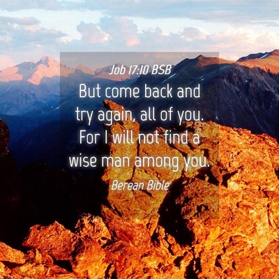 Picture 04 - Job 17:10 BSB - But come back and try again, all of you. For I - Bible Verse Picture