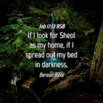 Picture 04 - Job 17:13 BSB - If I look for Sheol as my home, if I spread out - Bible Verse Picture