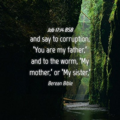 Picture 04 - Job 17:14 BSB - and say to corruption, ‘You are my father,’ - Bible Verse Picture