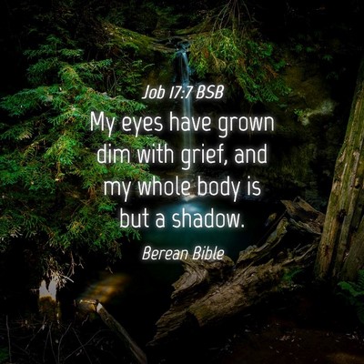 Picture 04 - Job 17:7 BSB - My eyes have grown dim with grief, and my whole - Bible Verse Picture