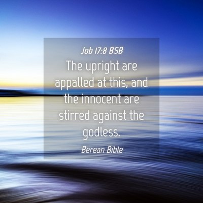 Picture 04 - Job 17:8 BSB - The upright are appalled at this, and the - Bible Verse Picture