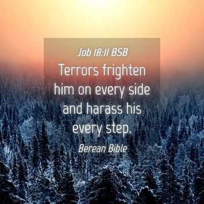 Picture 04 - Job 18:11 BSB - Terrors frighten him on every side and harass his - Bible Verse Picture