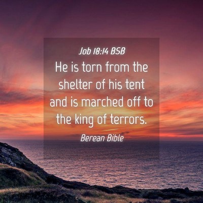 Picture 04 - Job 18:14 BSB - He is torn from the shelter of his tent and is - Bible Verse Picture