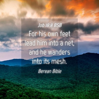 Picture 04 - Job 18:8 BSB - For his own feet lead him into a net, and he - Bible Verse Picture