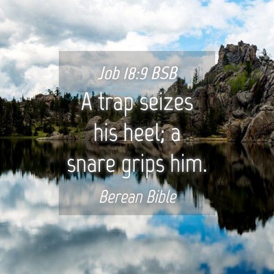 Picture 04 - Job 18:9 BSB - A trap seizes his heel; a snare grips - Bible Verse Picture
