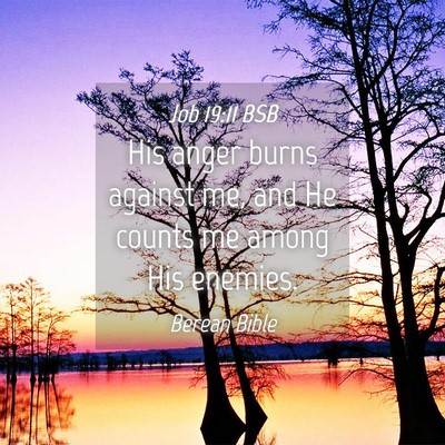 Picture 04 - Job 19:11 BSB - His anger burns against me, and He counts me - Bible Verse Picture