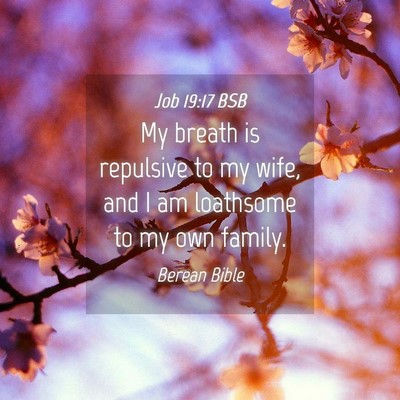Picture 04 - Job 19:17 BSB - My breath is repulsive to my wife, and I am - Bible Verse Picture