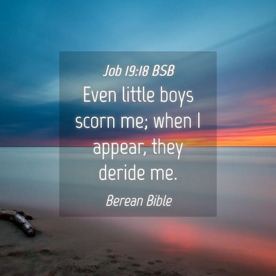 Picture 04 - Job 19:18 BSB - Even little boys scorn me; when I appear, they - Bible Verse Picture