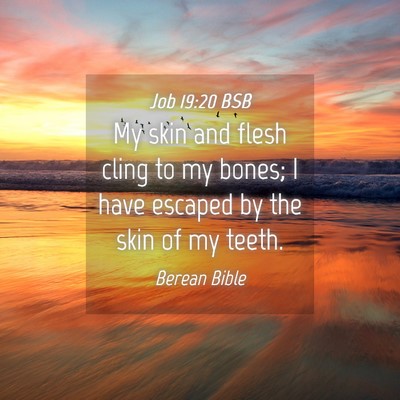 Picture 04 - Job 19:20 BSB - My skin and flesh cling to my bones; I have - Bible Verse Picture