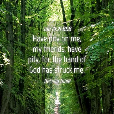 Picture 04 - Job 19:21 BSB - Have pity on me, my friends, have pity, for the - Bible Verse Picture