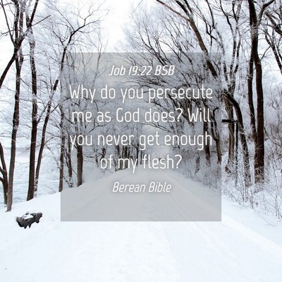 Picture 04 - Job 19:22 BSB - Why do you persecute me as God does? Will you - Bible Verse Picture