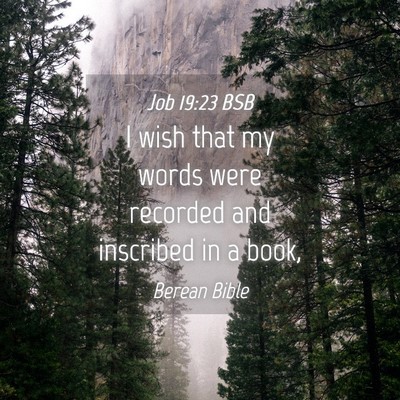 Picture 04 - Job 19:23 BSB - I wish that my words were recorded and inscribed - Bible Verse Picture