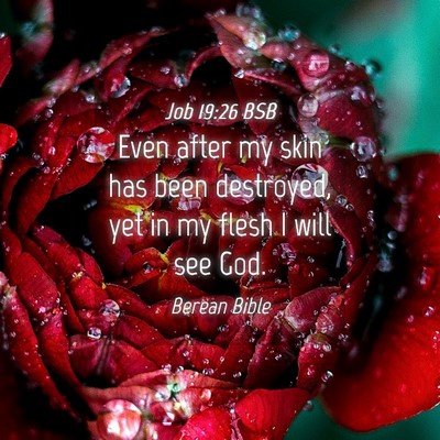 Picture 04 - Job 19:26 BSB - Even after my skin has been destroyed, yet in my - Bible Verse Picture