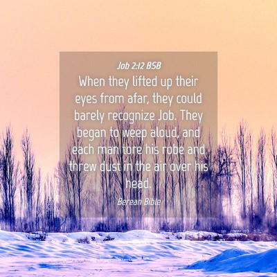 Picture 04 - Job 2:12 BSB - When they lifted up their eyes from afar, they - Bible Verse Picture