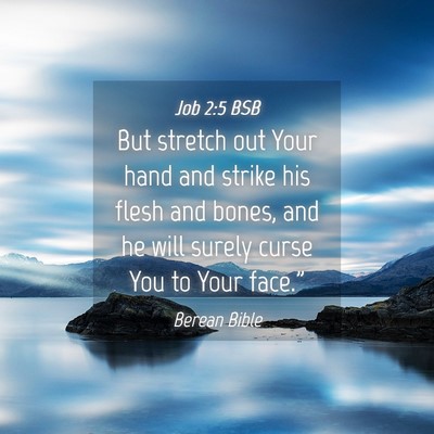 Picture 04 - Job 2:5 BSB - But stretch out Your hand and strike his flesh - Bible Verse Picture