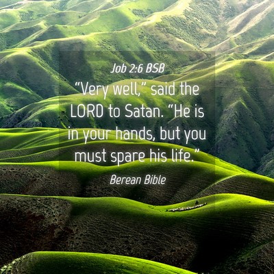 Picture 04 - Job 2:6 BSB - “Very well,” said the LORD to Satan. “He is - Bible Verse Picture