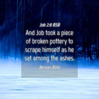 Picture 04 - Job 2:8 BSB - And Job took a piece of broken pottery to scrape - Bible Verse Picture