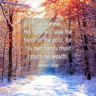 Picture 04 - Job 20:10 BSB - His sons will seek the favor of the poor, for his - Bible Verse Picture