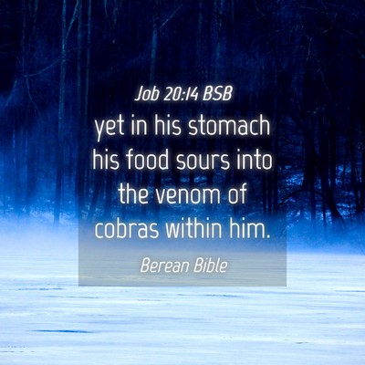 Picture 04 - Job 20:14 BSB - yet in his stomach his food sours into the venom - Bible Verse Picture
