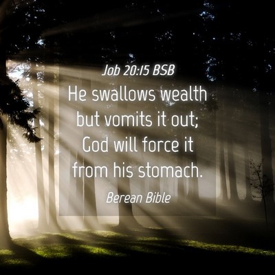 Picture 04 - Job 20:15 BSB - He swallows wealth but vomits it out; God will - Bible Verse Picture
