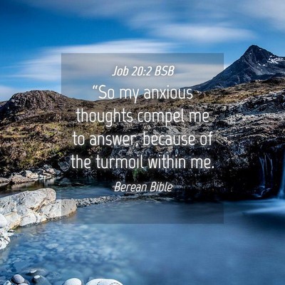 Picture 04 - Job 20:2 BSB - “So my anxious thoughts compel me to answer, - Bible Verse Picture