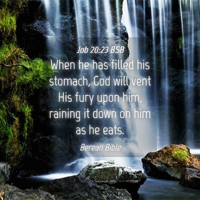 Picture 04 - Job 20:23 BSB - When he has filled his stomach, God will vent His - Bible Verse Picture